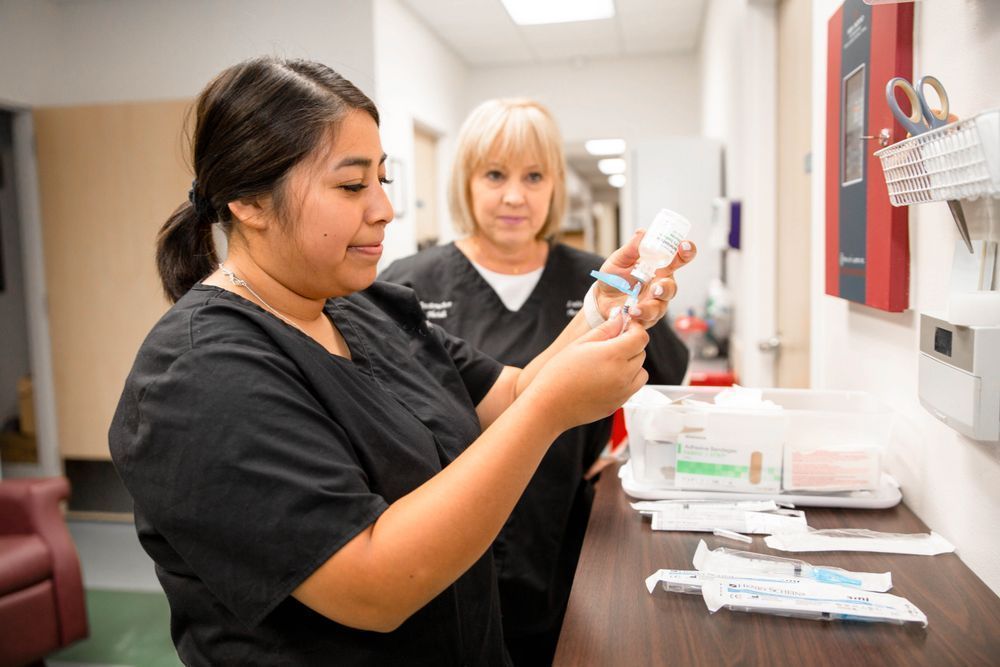Healthcare students comparing career options