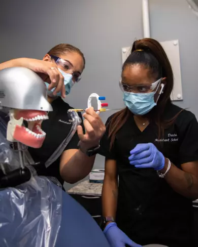 Dental Assistants in the office